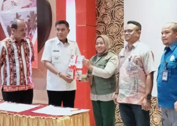 Pulau Ambon Berada di Zona Cicin Pasifik dan Berpotensi Tsunami 