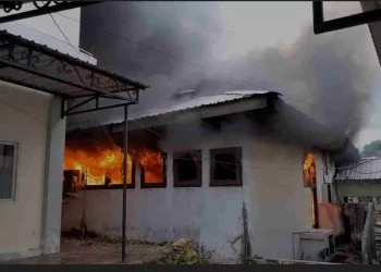 Si Jago Merah Lahap Gudang Farmasi RSUD Malra