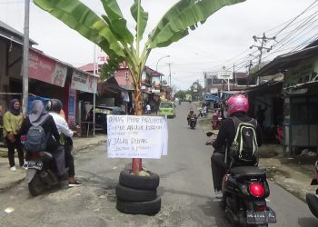 PJ Walikota Ambon Bersitegang Dengan Sopir Angkot, Buntut Pohon Pisang Ditanam di Jalan Tujuan Stain