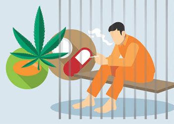 Bansa Latupono Pemilik 5  Paket , Ganja Dituntut 1,6 Tahun Penjara