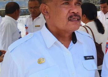 Loppies Pastikan Mitan Tidak Langka di Kota Ambon