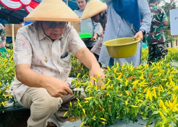 Penjabat Walikota Hadiri Panen Raya dan Penanaman Perdana Tanaman Hortikultura