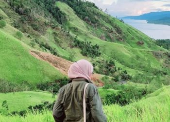 Tambang Nikel di Gunung Tinggi SBB Milik PT Manusela Prima Mining