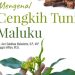 Resensi : Cengkeh Tuni dari Maluku