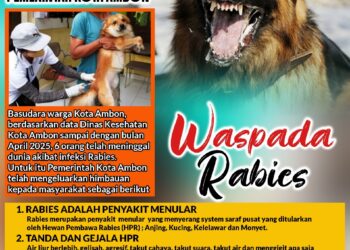 Waspada Rabies, Pemkot Ambon Himbau Masyarakat Waspada