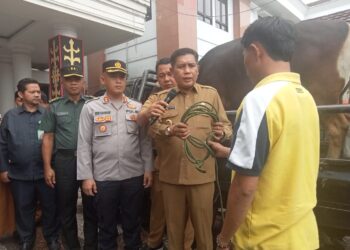 Serahkan 110 Hewan Kurban, Wattimena : Harta Yang Dimiliki Bukanlah Milik Kita Tapi Titipan Allah