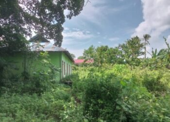 Ada Dugaan Korupsi di SMK Teknologi Azzahra Mastur di Kabupaten Maluku Tenggara, Kasusnya Diduga Karam di Ditreskrimsus Polda Maluku, Ada Adik Murad Ismail di Kasus Ini?