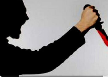 Pelaku Penikaman Sardin Tomagola Ditangkap di Dusun Tomi-Tomi