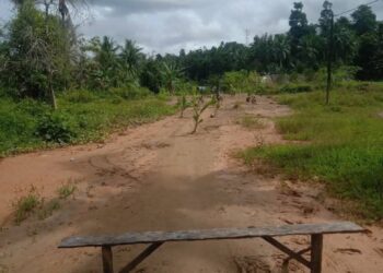 Pemkab Malteng Pura-pura Buta, Warga TNS Tanam Pisang dan Kelapa di Jalan Raya