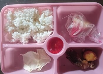 Pembagian Makanan Bergizi Gratis di SD Inpres 25 di Kudamati Dikeluhkan Orang Tua Siswa