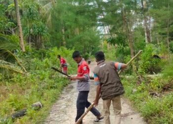 Warga Tayando Murka, Tuduh PLN UP3 Tebang Pohon Kelapa Secara Sepihak