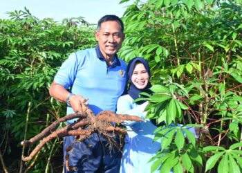 Lanud Pattimura Panen Singkong dan Semangka, Optimalkan Lahan untuk Dukung Ketahanan Pangan