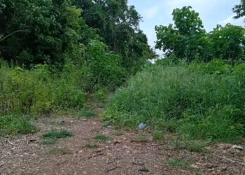 Proyek Jalan Lapen Pulau Dai Rp 5,4 Miliar Belum Dikerjakan, Uang Muka Sudah Dicairkan