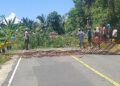 Protes Penebangan Cengkeh, Warga Siriholo Blokade Jalan Trans Seram