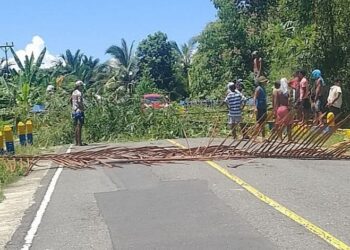 Protes Penebangan Cengkeh, Warga Siriholo Blokade Jalan Trans Seram