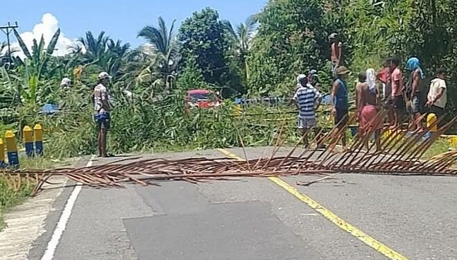 Protes Penebangan Cengkeh, Warga Siriholo Blokade Jalan Trans Seram