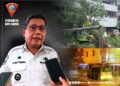 3 Warga Luka Tertimpa Pohon Tumbang, Wali Kota Ambon Instruksikan Penanganan Serius