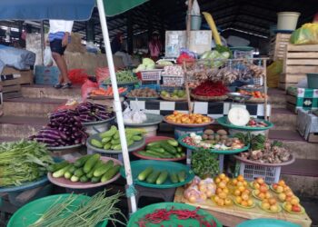 Program MBG Dongkrak Ekonomi Pedagang Sayur di Pasar Langgur