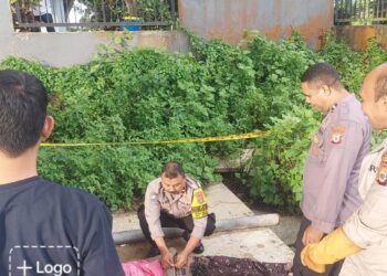 Polisi Evakuasi Jenazah Perempuan yang Ditemukan di Muara Sungai Wai Ruhu Ambon