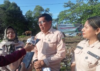 Distan Maluku Perketat Pengawasan 1.682 Ekor Hewan Qurban Jelang Idul Adha 1447 H