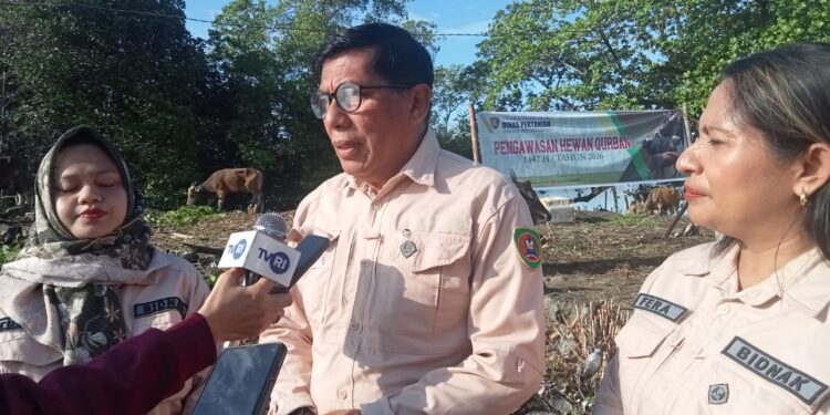 Distan Maluku Perketat Pengawasan 1.682 Ekor Hewan Qurban Jelang Idul Adha 1447 H