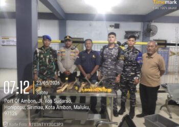Tanduk Rusa Diamankan Polsek KPYS, Calon Penumpang KM Nggapulu Tersangka Pelanggaran UU Konservasi