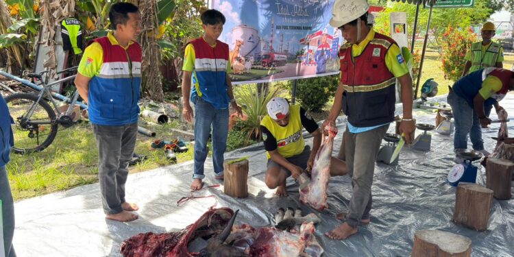 Pertamina Patra Niaga Papua Maluku Salurkan 76 Sapi dan 58 Kambing Kurban di Momentum Idul Adha 1447 H