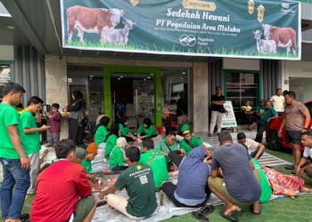 Rayakan Idul Adha 1447 H, PT Pegadaian Area Maluku Salurkan Daging Kurban dari 4 Ekor Sapi kepada Warga Ambon